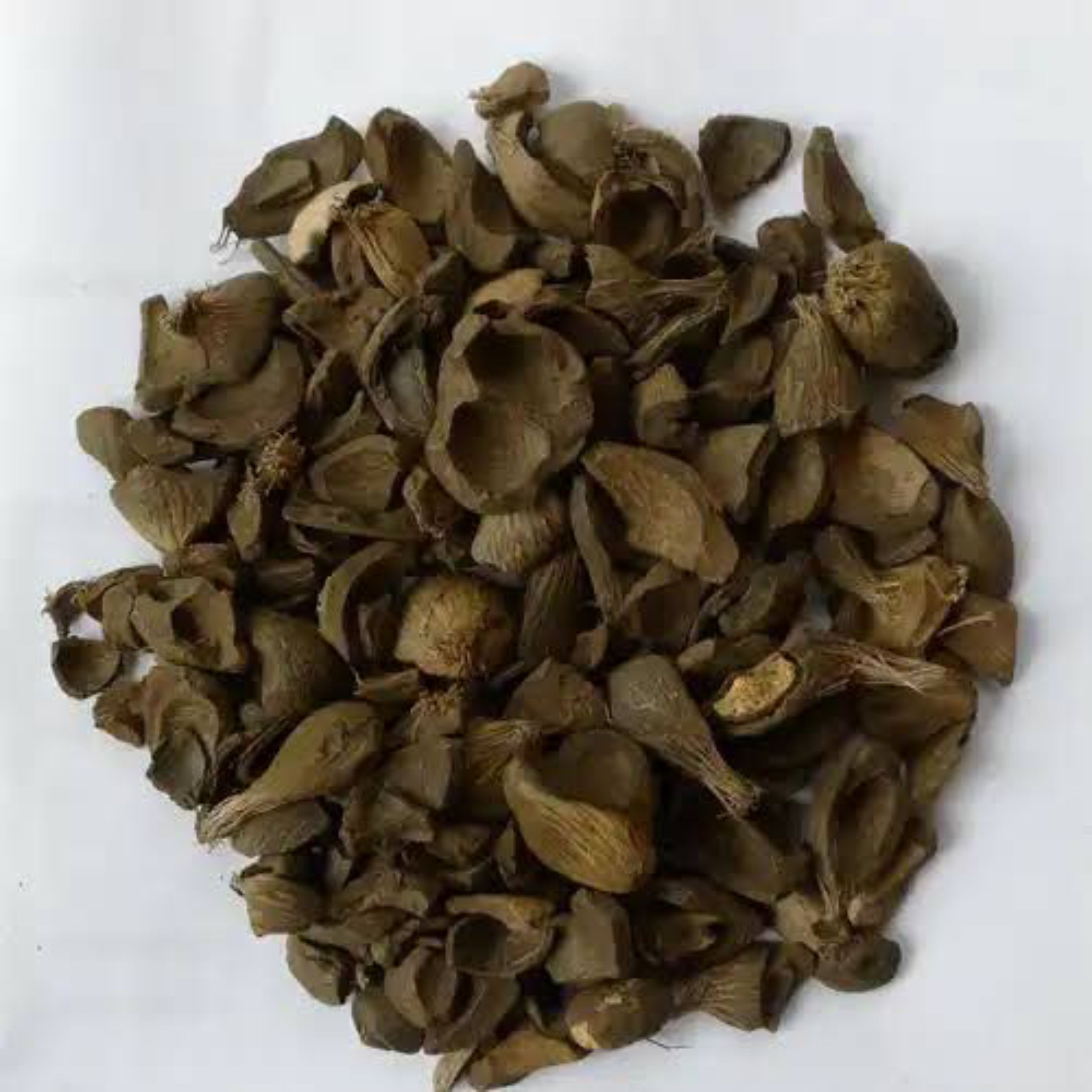 Palm Kernel Shell ( PKS for Biofuel)
