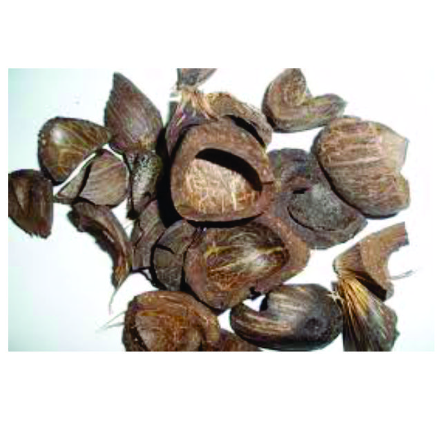 Palm Kernel Shell ( PKS for Biofuel)