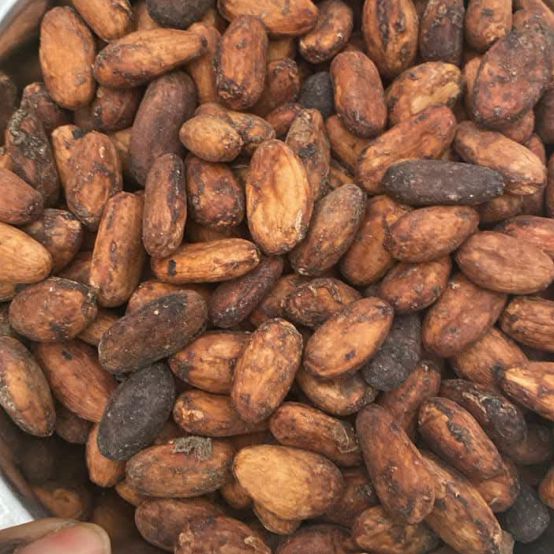 Cocoa Beans ( Premium Quality)