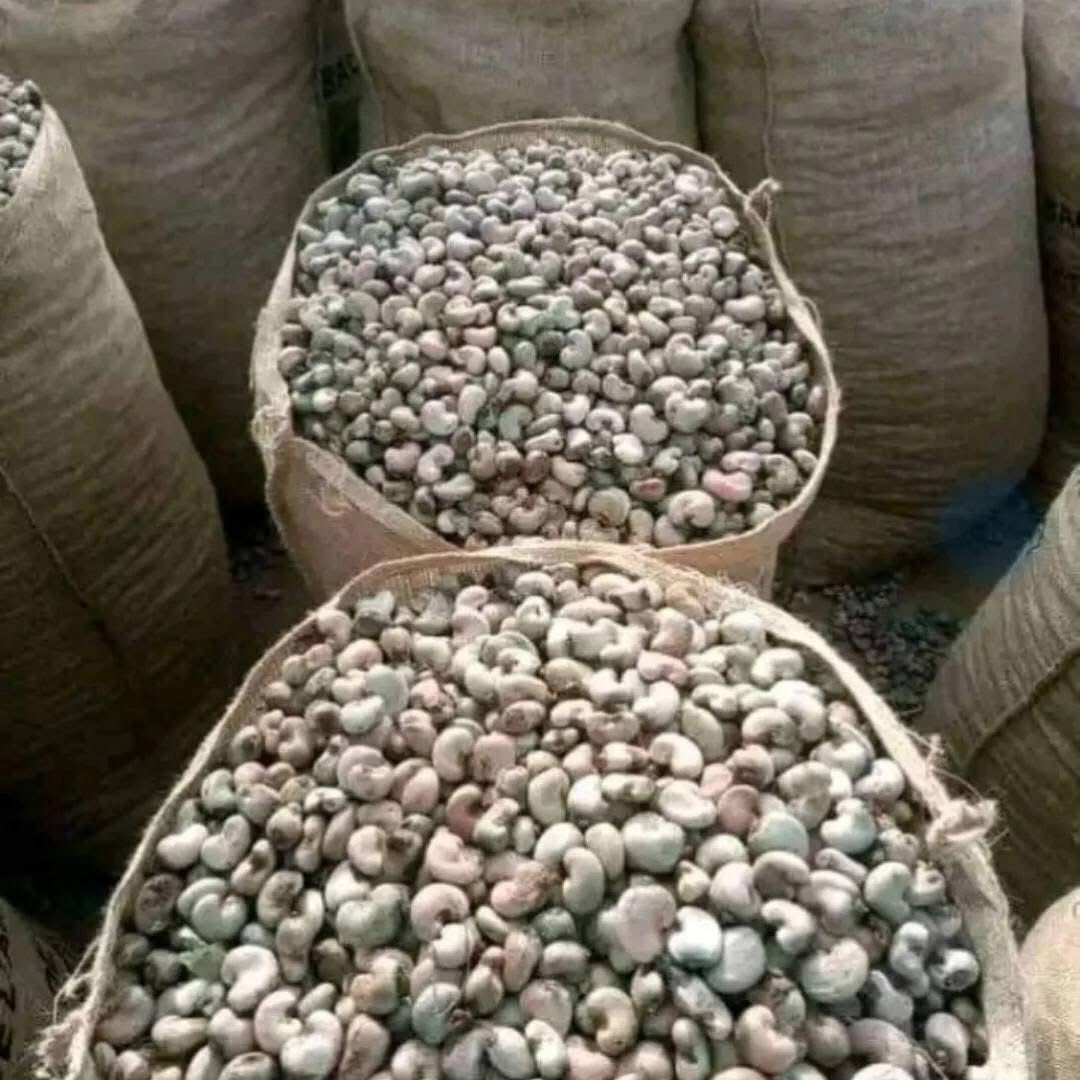 Raw Cashew Nuts ( Premium Grade)