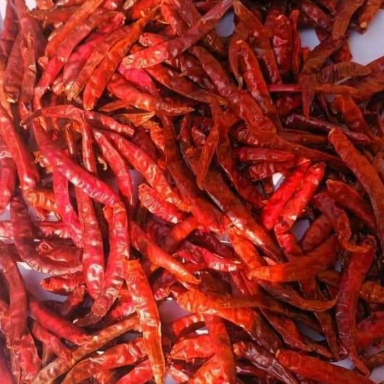 Dried Chilli Peppers