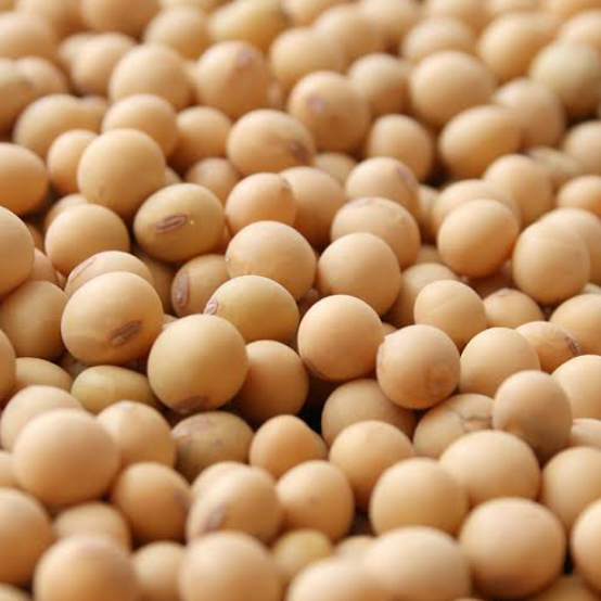Soybeans (Premium Grade)