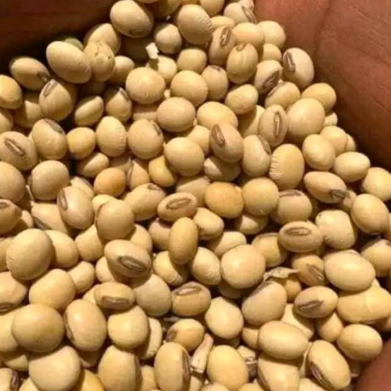 Soybeans (Premium Grade)