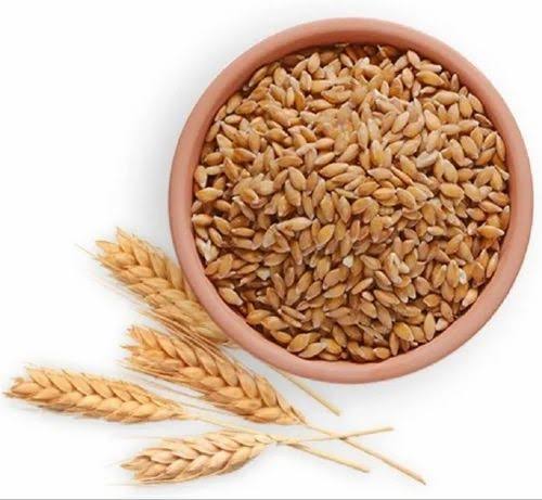 Wheat (Premium Grade)