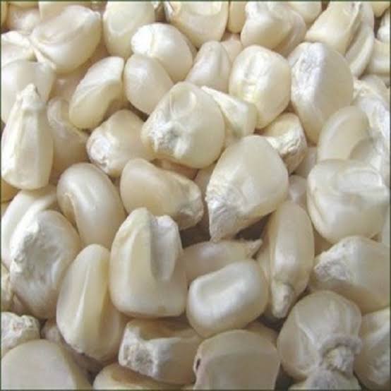 White And Yellow Corn (Premium Grade)