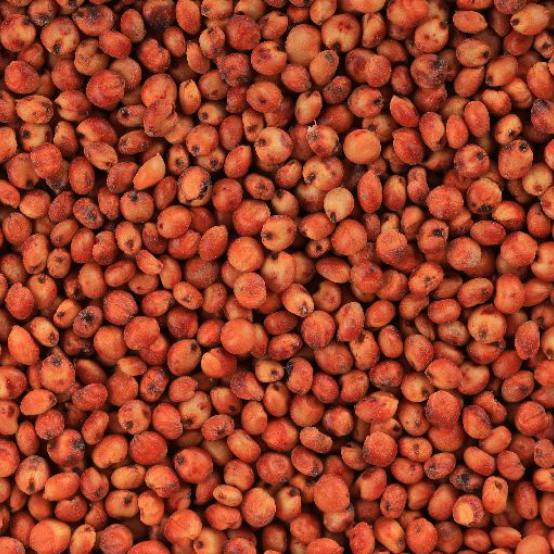 White And Red Sorghum