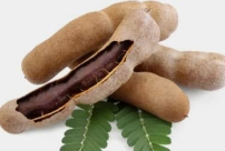 Tamarind