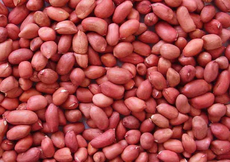 Pigeon Pea